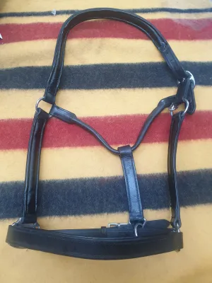 New black leather XF head collar FREE POSTAGE☆