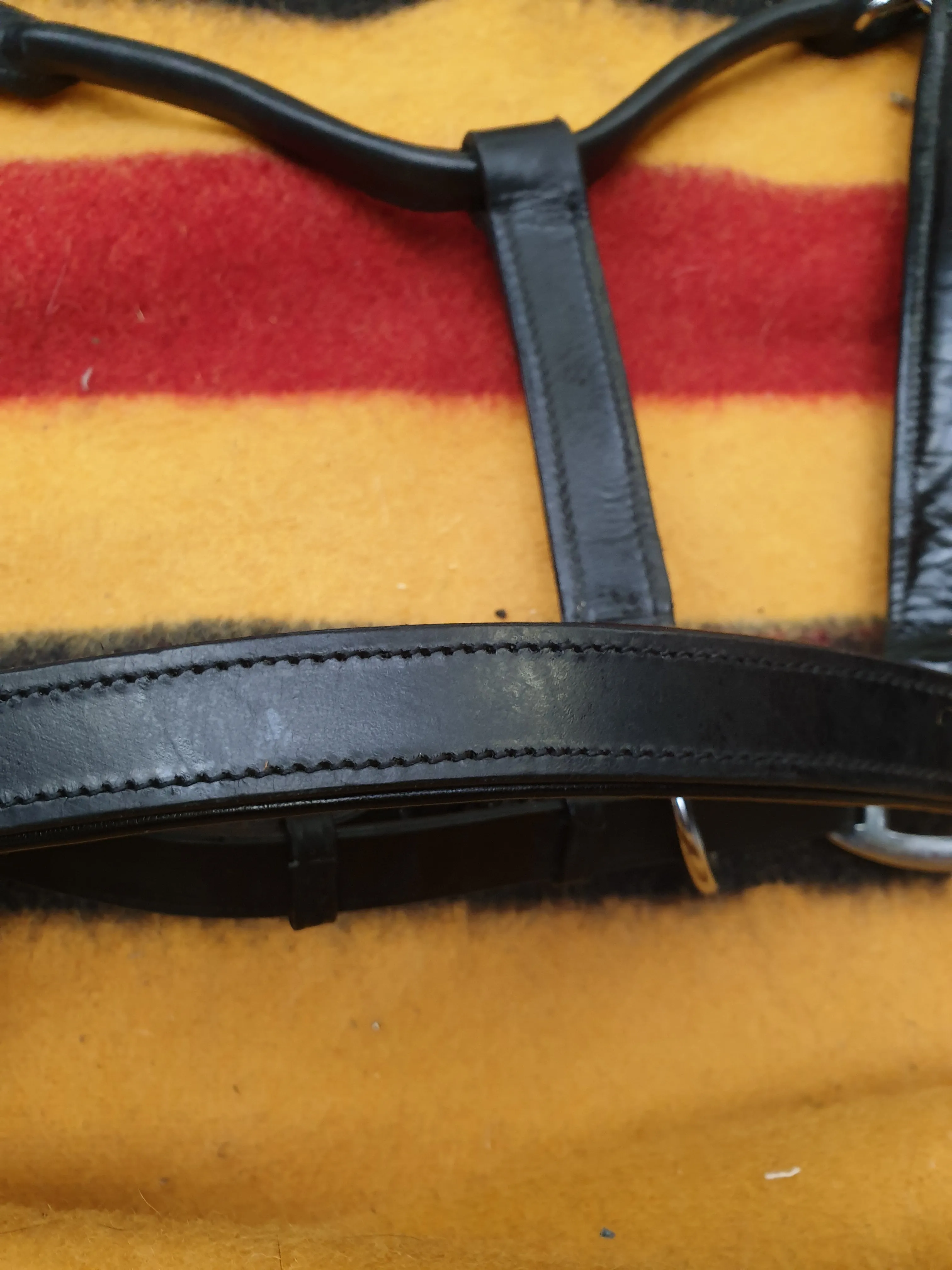 New black leather XF head collar FREE POSTAGE☆