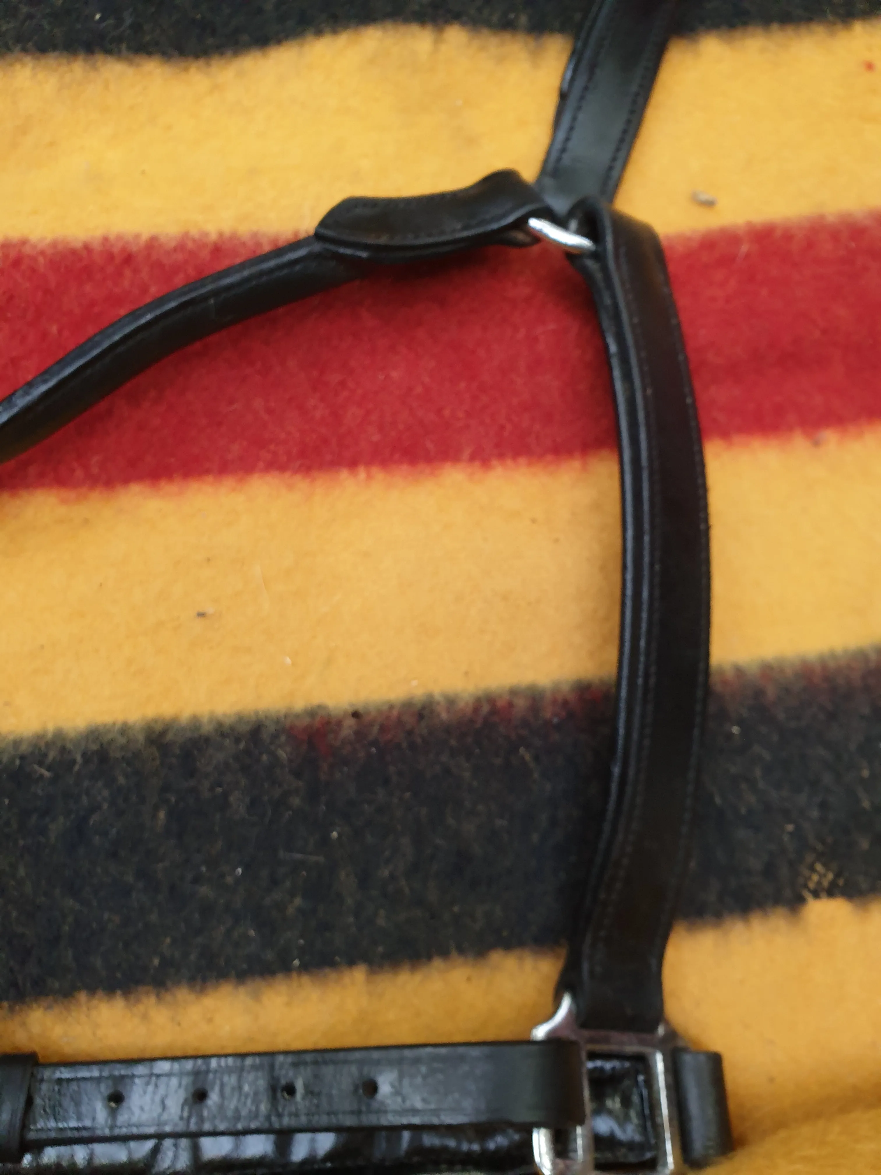New black leather XF head collar FREE POSTAGE☆
