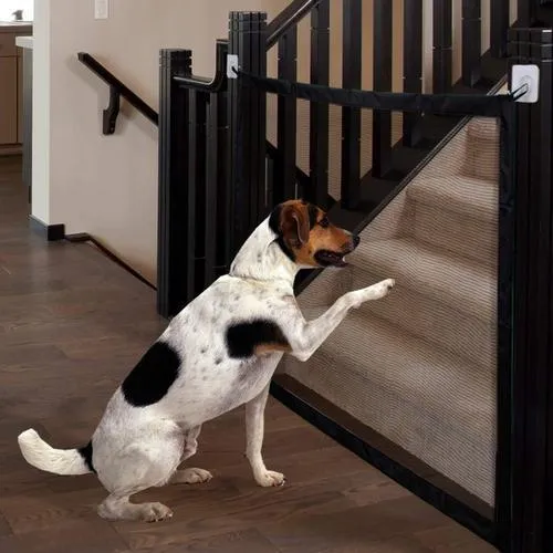 Portable Dog Safety Door Guard