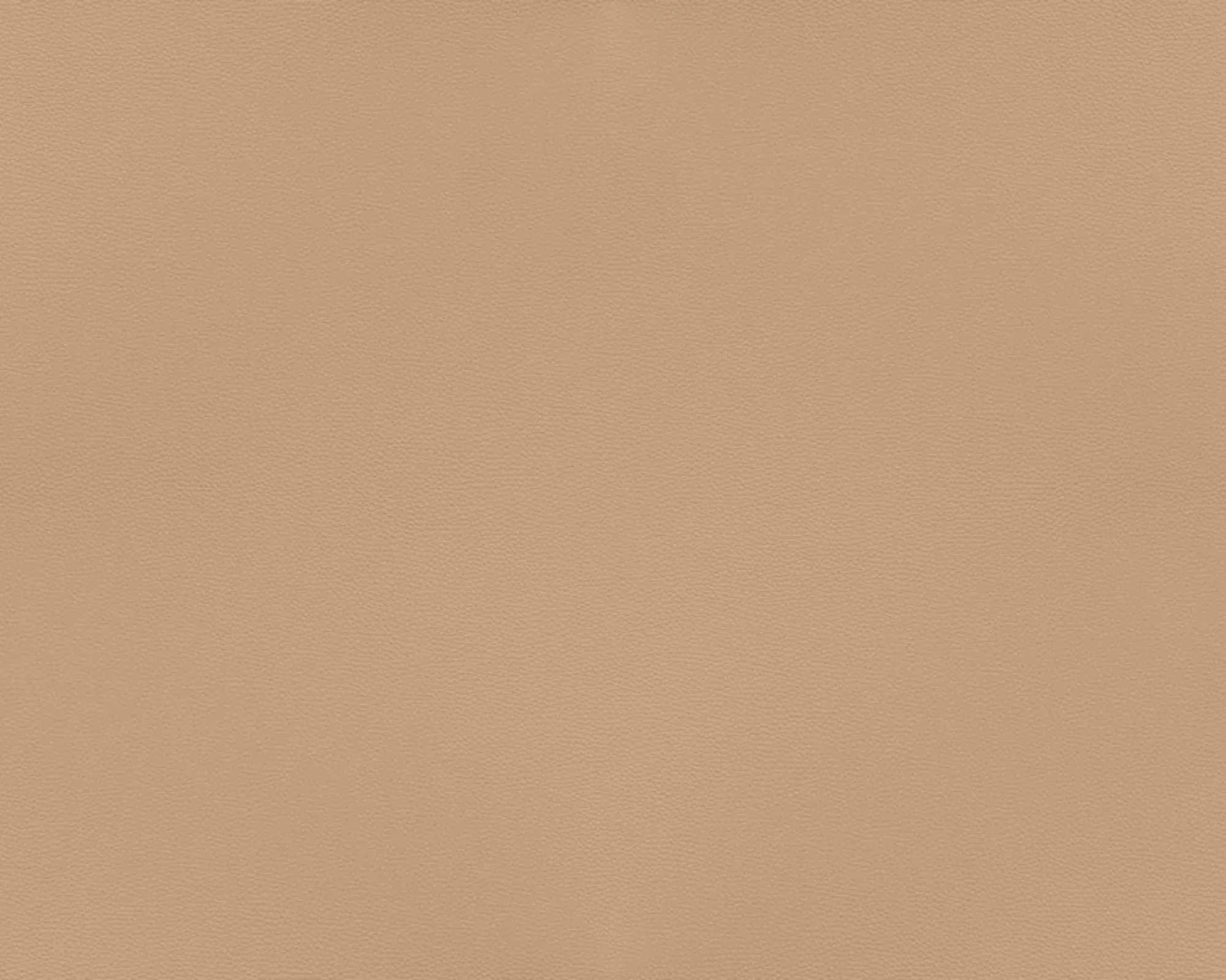 Solid Leather - L40554