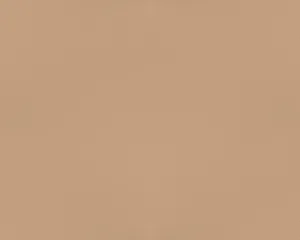 Solid Leather - L40554