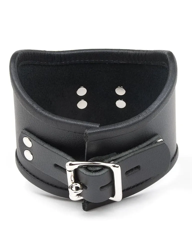 Tall Curved Posture Collar