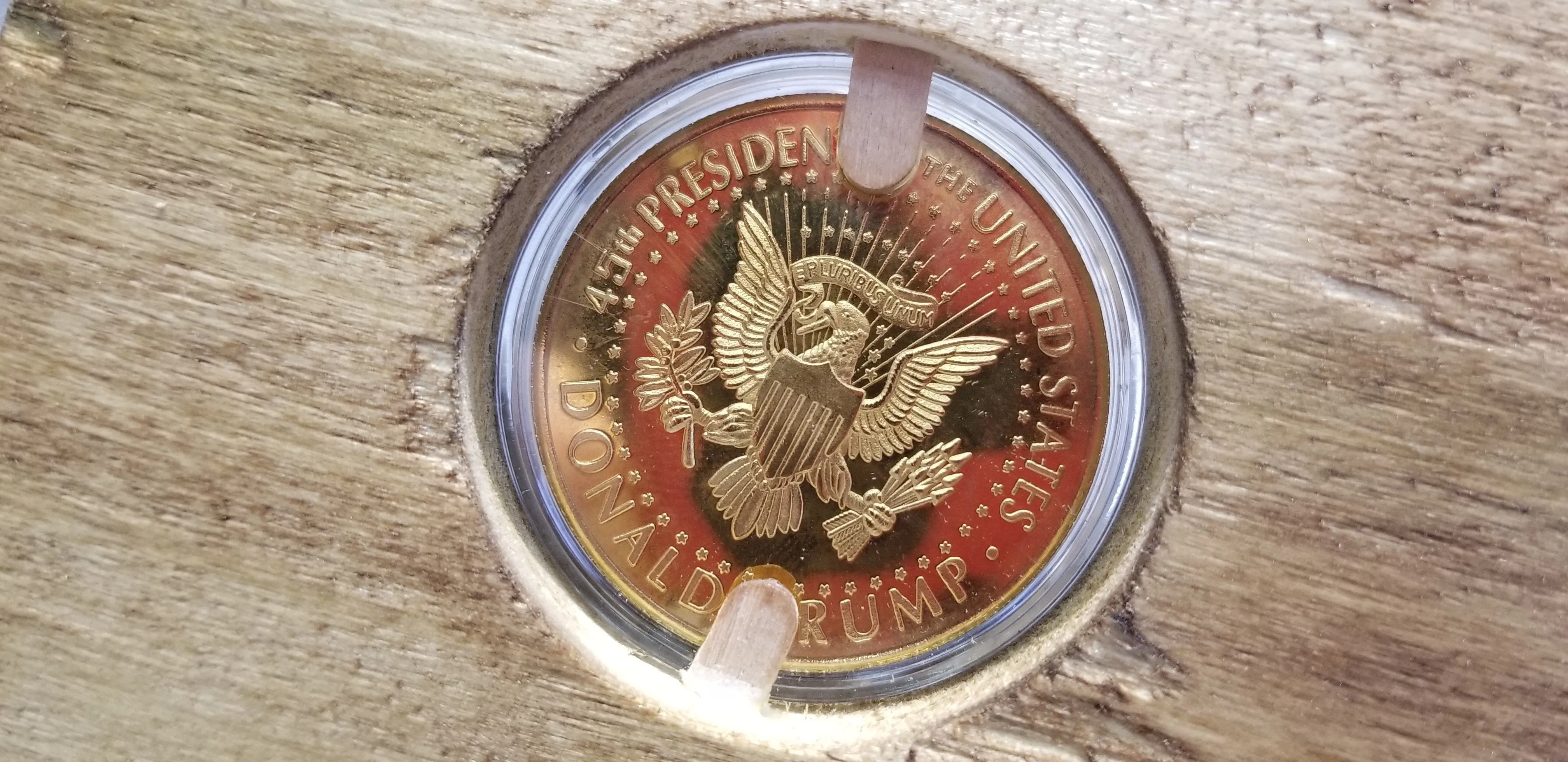 Trump Dollar Art Collectible #4