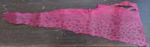 Wolffish